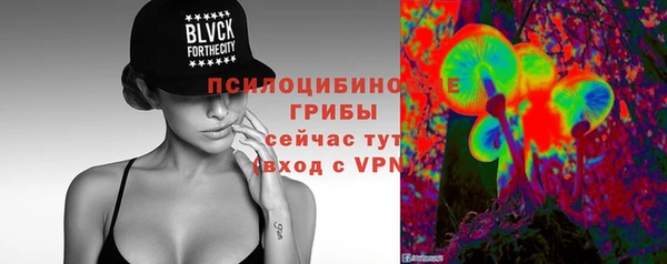 индика Михайловск