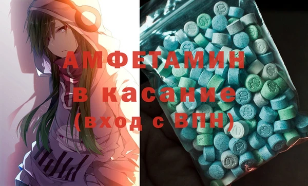 индика Володарск