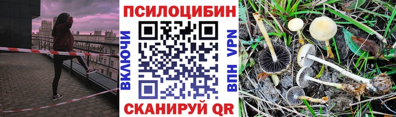 Галлюциногенные грибы ЛСД  ОМГ ОМГ рабочий сайт  Нерехта  купить наркоту 